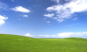 Green field with a great blue sky