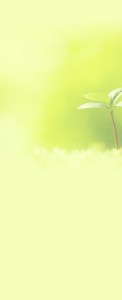 sp_bg_img001